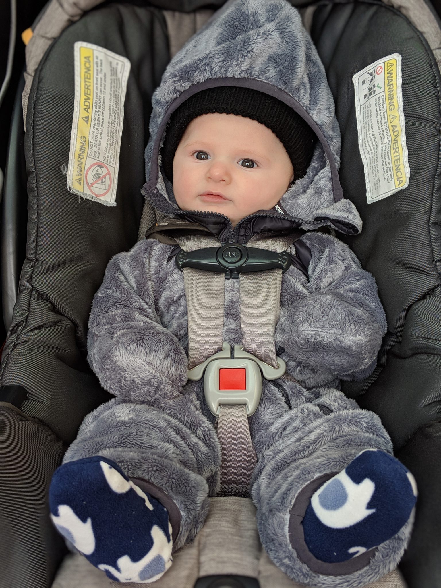 baby boy north face winter jacket