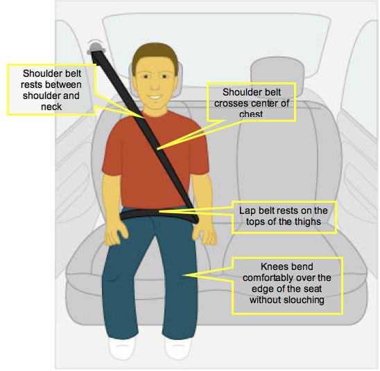 The Car Seat LadyBooster Basics - The Car Seat Lady