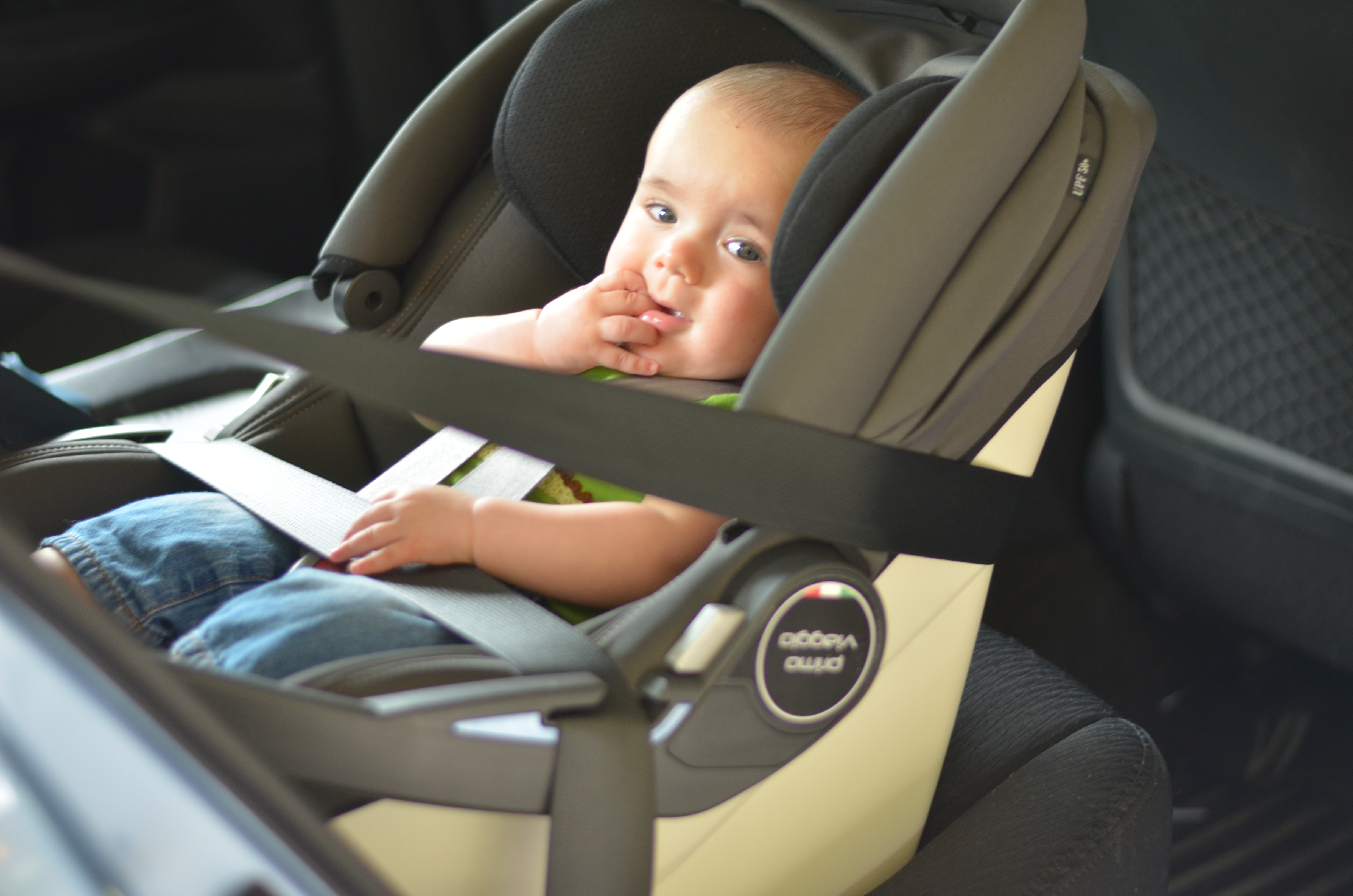 The Car Seat Lady, How To Install Infant Car Seat With Belt Without Base