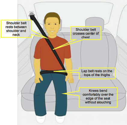 lap belt car seat