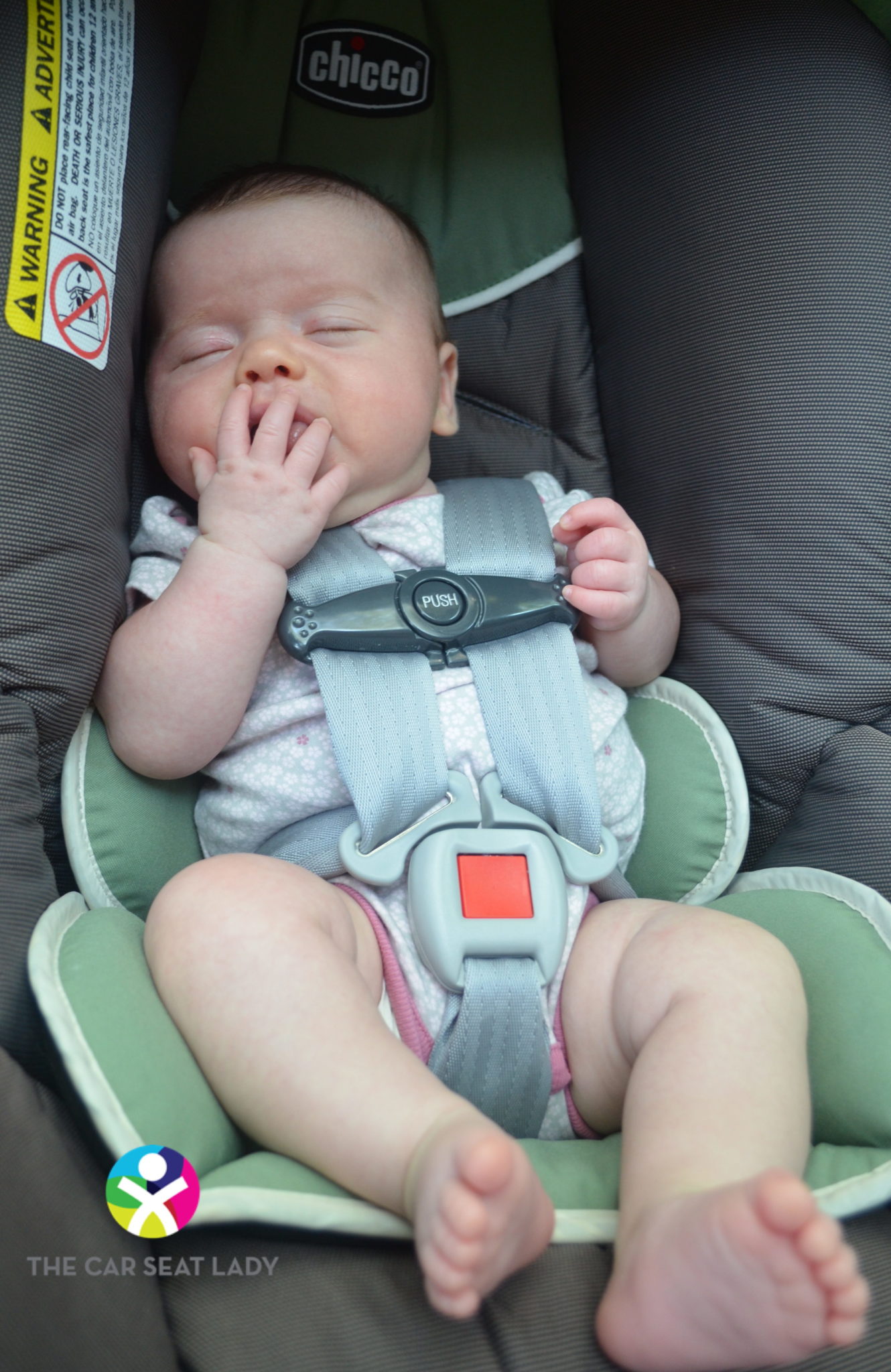 The Car Seat LadyHow to Buckle Up a Child in a Car Seat The Car Seat Lady