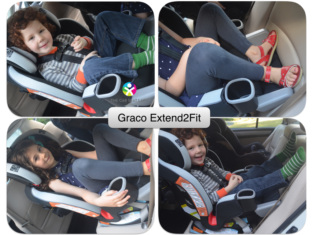 The Car Seat LadySeat Belt Extenders - The Car Seat Lady