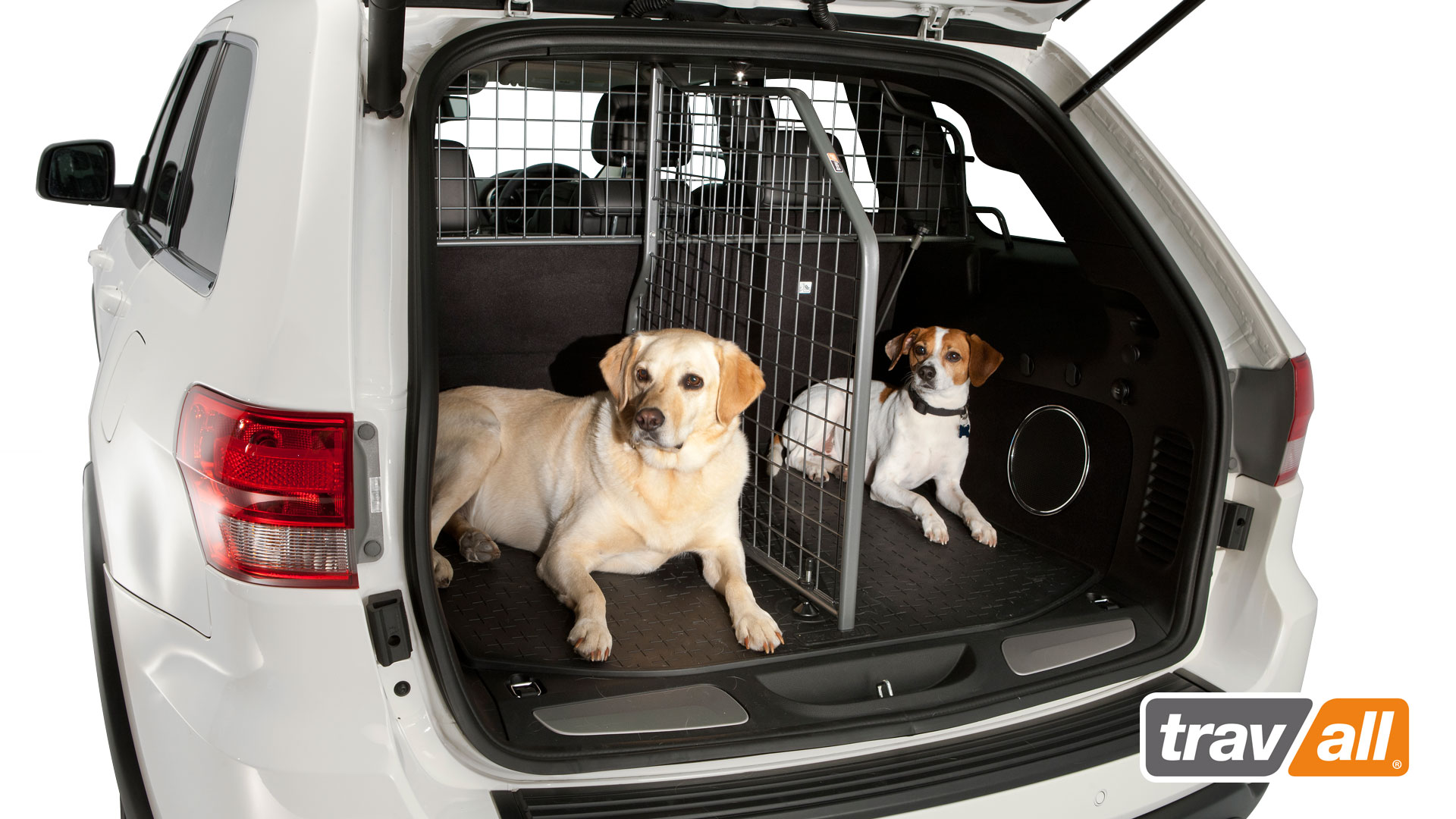 dog cargo gate