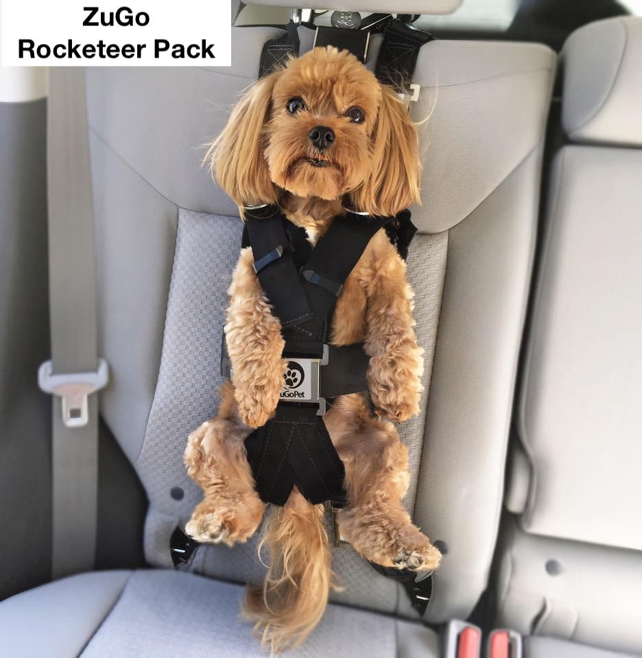About 3 Kg Special Design for Small Pets Under 6 Lbs niceEshop Royal Blue Console Dog Car Seat for Dog Cat Pets with Safety Belt TM 